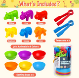 Animal Counting, Color Sorting & Matching Game with Rainbow Bowls