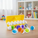 Children's Early Education Multi Shapes & Numbers Eggs Toy (FXB-4)