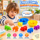 Animal Counting, Color Sorting & Matching Game with Rainbow Bowls