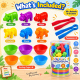 Animal Counting, Color Sorting & Matching Game with Rainbow Bowls
