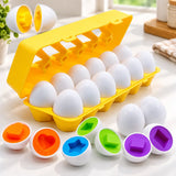 Children's Early Education Multi Shapes & Numbers Eggs Toy (FXB-4)