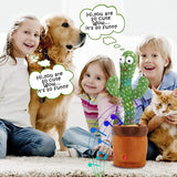 Dancing Talking Cactus Toy (Rechargeable | 02)
