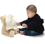 Peek-A-Boo Teddy Bear Toy With Motion & Sound For Kids (03)