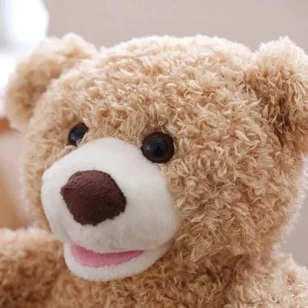 Peek-A-Boo Teddy Bear Toy With Motion & Sound For Kids (03)