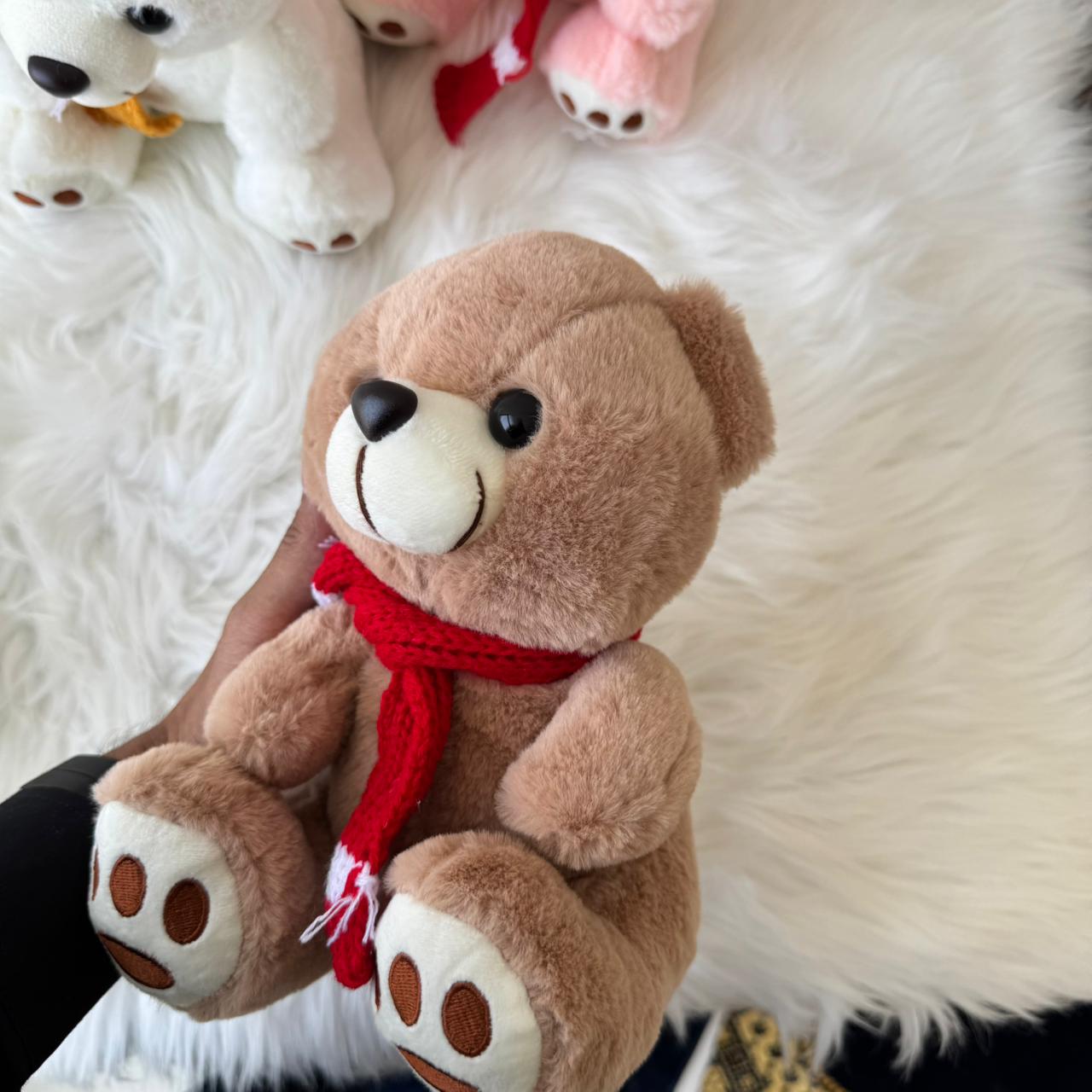 Cutest Muffler Teddy Bear Plush Toy for Kids | 25cm (Random Color)