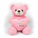 Cute Teddy Bear Plush Toy with Heart (30cm | Random Color)