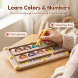 Magnetic Colors & Numbers Matching Maze Game (2025-23/BTE-005C)