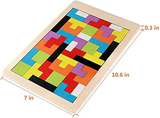 Wooden Intelligence 40 Pcs Russian Puzzle Blocks