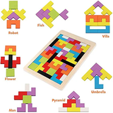 Wooden Intelligence 40 Pcs Russian Puzzle Blocks