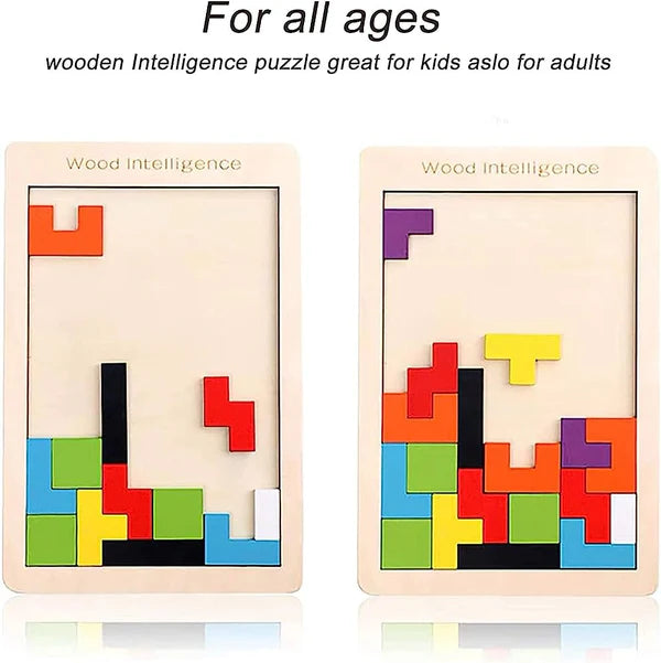 Wooden Intelligence 40 Pcs Russian Puzzle Blocks