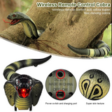 Remote Control Snake Toy (8808A-B)