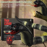 Remote Control Snake Toy (8808A-B)