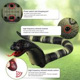 Remote Control Snake Toy (8808A-B)
