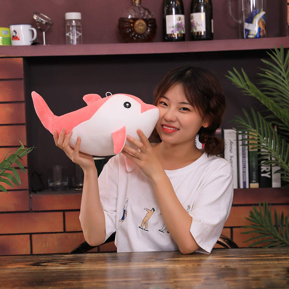 Cute Dolphin Plush Toy for Kids | 25cm (Random Color)
