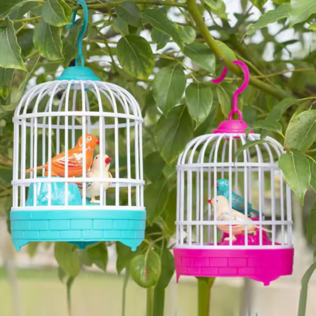 Birds Cage With Light & Sound For Kids (006)